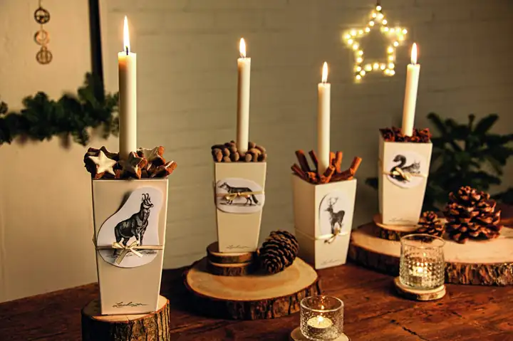 Lechuza Der Weihnachtsstern, der nicht welkt, Ansicht 3