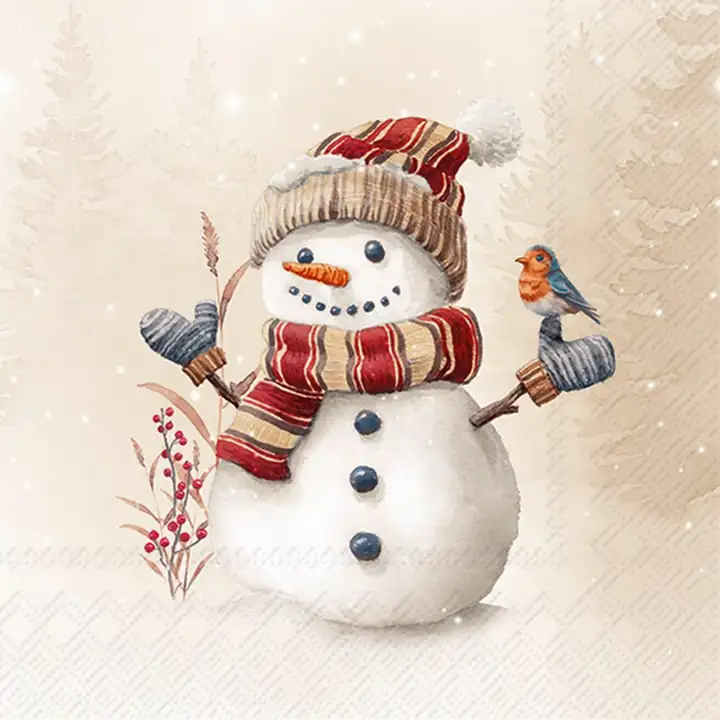 IHR Oscar, der Schneemann fürs Sofa, Ansicht 3