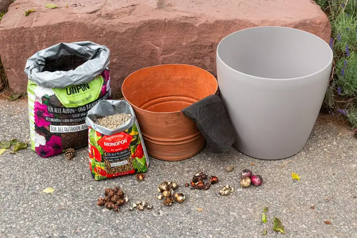 Lechuza: Eine Blumenzwiebellasagne für den Frühling