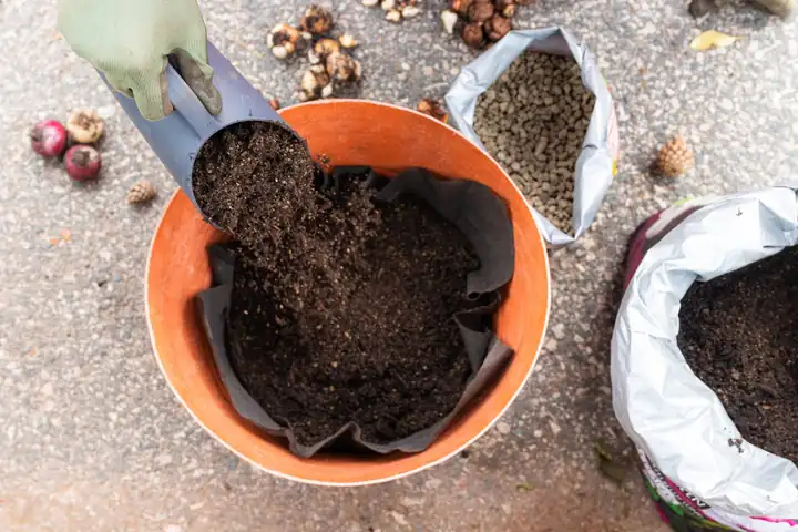 Lechuza Eine Blumenzwiebellasagne für den Frühling, Ansicht 3