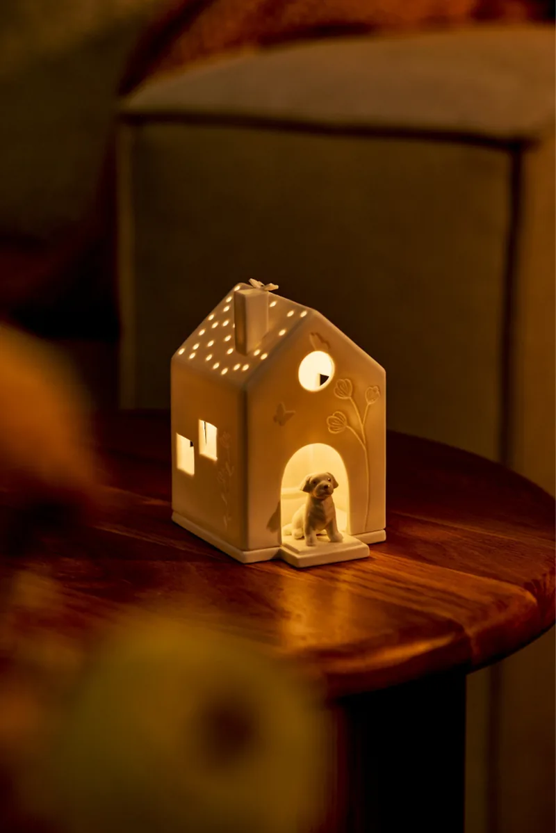 Beleuchtetes Lichthaus Hund von räder am Abend