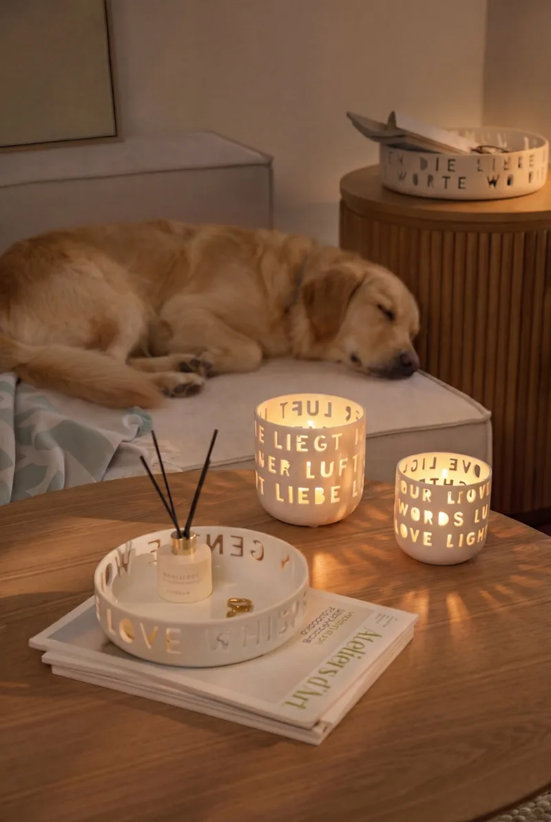 Teelichter und Porzellan der Kollektion Wunderwelt von räder, dahinter ein schlafender Hund