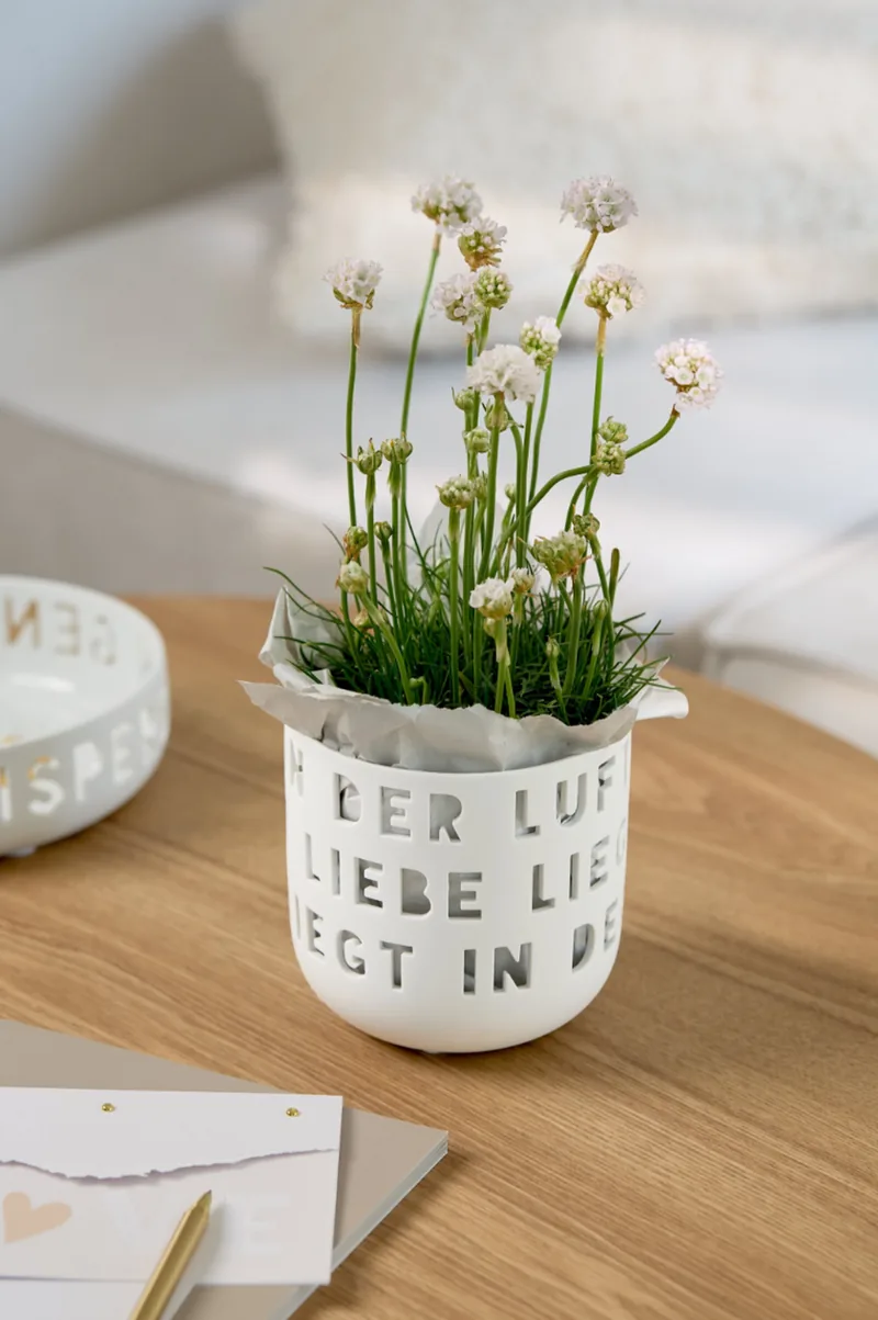 Durchbrochener Porzellantopf Wunderwelt von räder mit Blumen