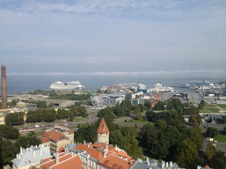Blick vom Turm der Olaikirche über Dächer und Türme der Altstadt von Tallinn auf den Hafen mit Kreuzfahrtschiffen