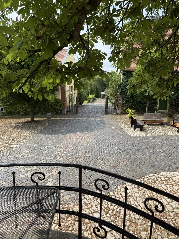 Blick unter einer Kastanie über den gepflasterten Hof zum offenen Tor, links und rechts Gebäude mit Efeu