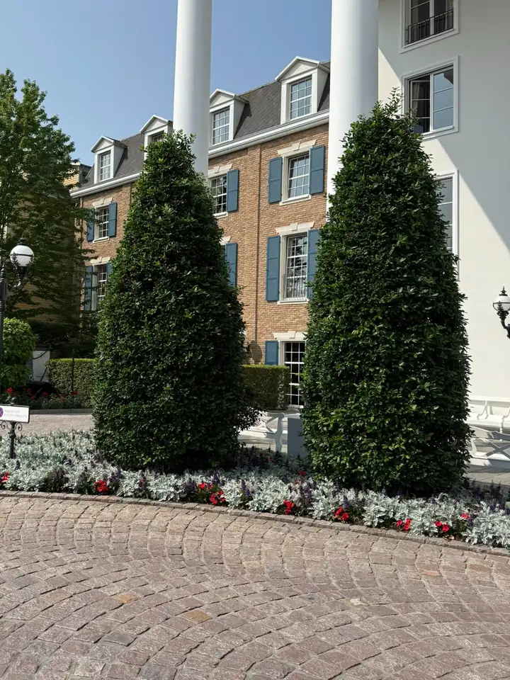 Vorfahrt des Hotels Bell Rock mit weißen Säulen, zwei Kegeln aus Lorbeer, einem Blumenbeet und Kopfsteinpflaster, dahinter ein Haus mit blauen Fensterläden