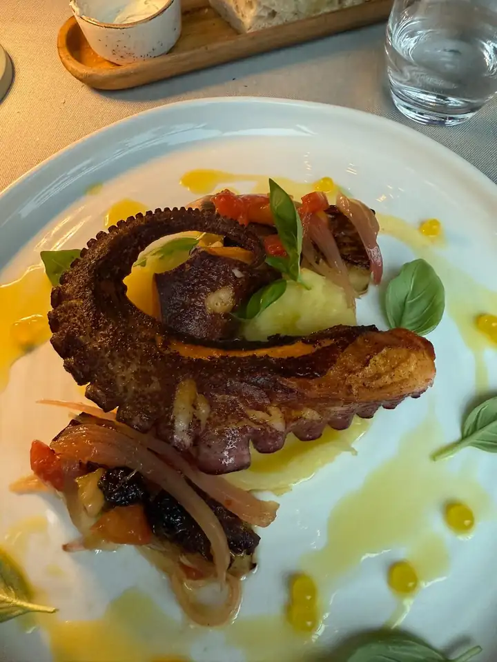 Gegrillter Oktopusarm auf einer hellen Creme mit Tomaten, Zwiebeln, Basilikum und Olivenöl auf einem weißen Teller
