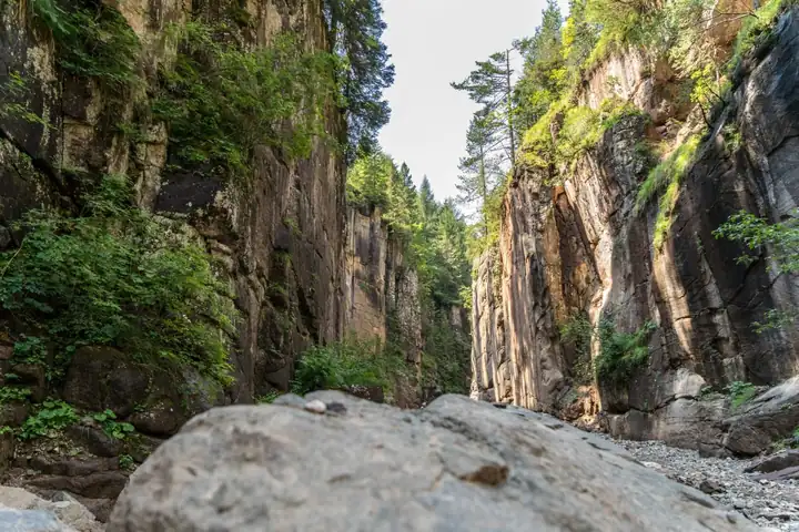 Steile Felswände der Bletterbachschlucht mit Bäumen, im Vordergrund große Steinblöcke im Bachbett