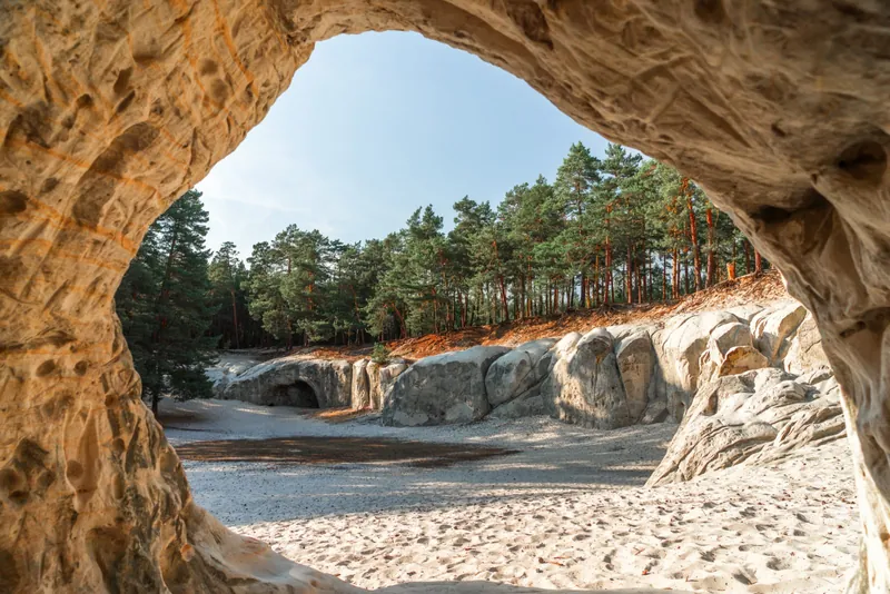 Blick aus einer Sandhöhle im Heers bei Blankenburg auf hellen Sand und Kiefernwald