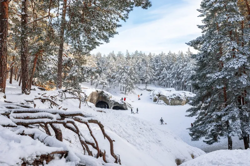 Verschneite Sandhöhlen im Heers mit Spaziergängern zwischen Kiefern