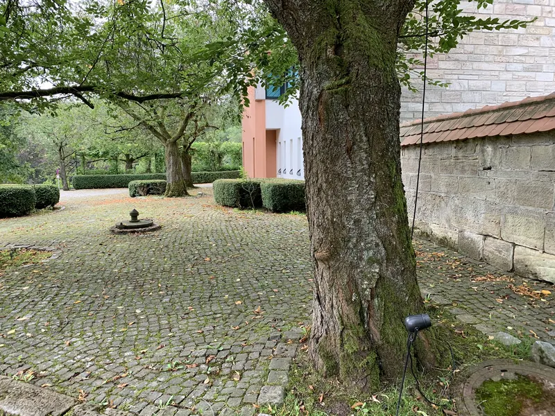 Innenhof mit Kopfsteinpflaster, einem großen alten Baum, einem kleinen Brunnen in der Mitte und Hecken