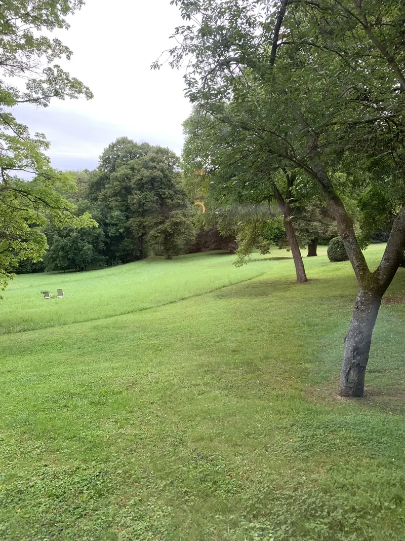 Weite Wiese mit alten Bäumen im Park des Hohenhaus, im Hintergrund zwei Liegestühle
