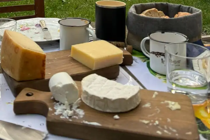 Zwei Holzbretter mit einem Stück Hartkäse, einem Block Schnittkäse, einer Rolle Ziegenkäse und einem Weichkäse, dahinter Becher aus Emaille, ein Brotkorb und Wassergläser im Garten