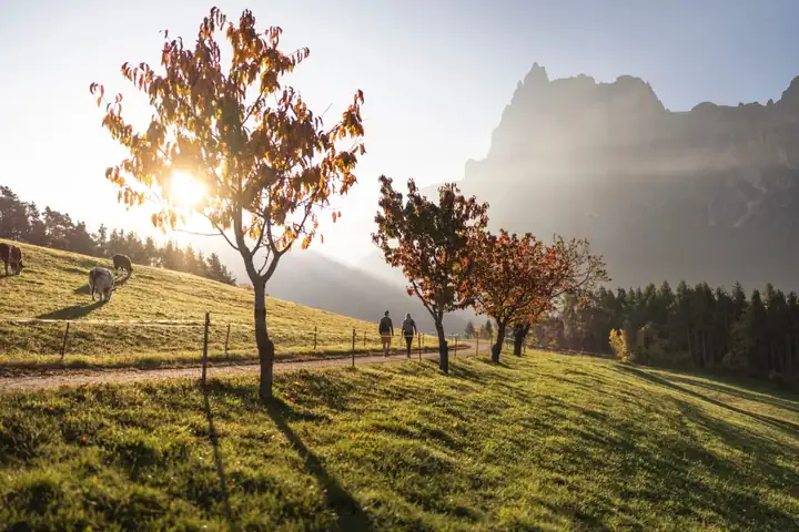Herbstlich gefärbter Baum im Gegenlicht auf einer Wiese, daneben ein Feldweg mit zwei kleinen Wanderern, links weidende Tiere, im Hintergrund Wald und eine Felswand