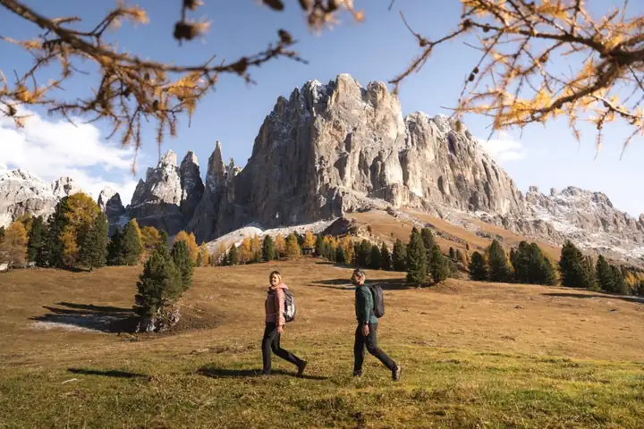 Zwei Wanderer auf einer herbstlichen Bergwiese mit einzelnen Fichten, dahinter zackige Dolomitengipfel unter blauem Himmel, im Vordergrund gelbe Zweige