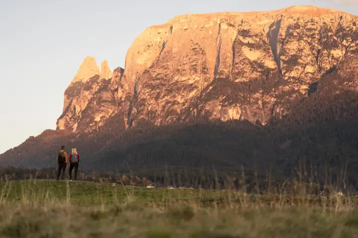 Die Felswand des Schlern im rötlichen Abendlicht, davor zwei kleine Wanderer auf einer Wiese