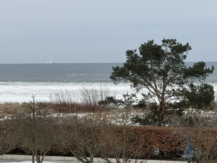 Blick vom Balkon über die Dünen auf die Ostsee mit Eis am Ufer, rechts eine Kiefer, am Horizont ein Schiff
