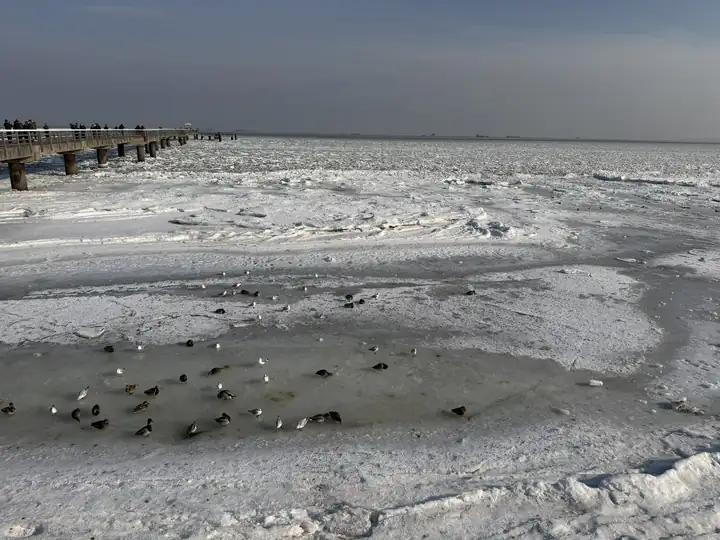 Vereiste Ostsee mit Enten auf dem Wasser, links die Seebrücke Ahlbeck mit Spaziergängern