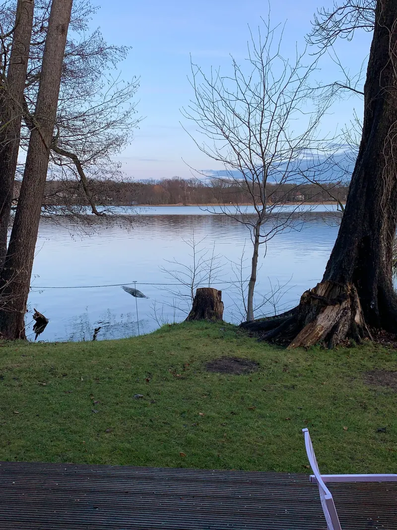 Blick vom Garten über einen Baumstumpf und kahle Bäume auf den Scharmützelsee unter blauem Himmel