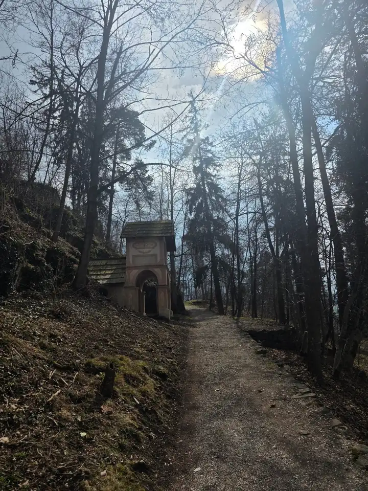 Kiesweg durch einen kahlen Wald, links am Hang eine kleine Kapelle mit Rundbogen und Schindeldach, Gegenlicht