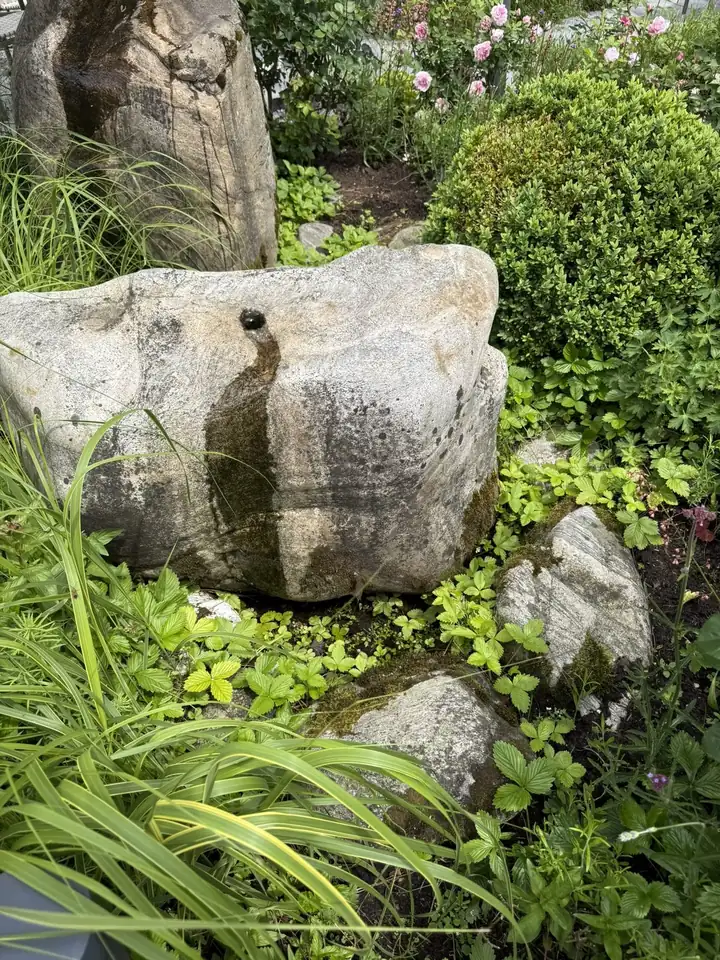 Großer Findling im Garten, über den ein dünner Wasserstrahl läuft, umgeben von Walderdbeeren, Gräsern und einer Buchskugel