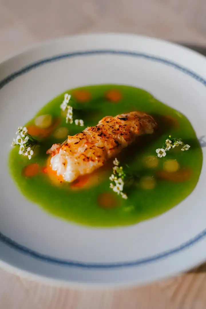 Gebratenes Fischfilet in grüner Sauce mit kleinen Gemüsewürfeln und Blüten auf einem Teller mit blauem Rand