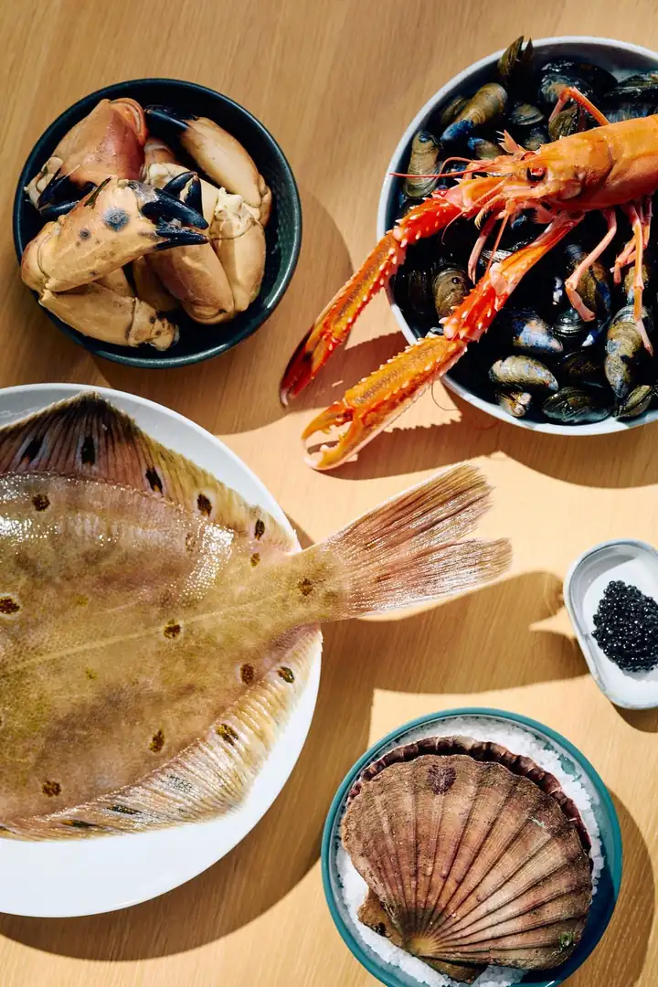 Meeresfrüchte von oben: Krabbenscheren, Kaisergranat, Muscheln, ein Plattfisch und Jakobsmuscheln in Schalen
